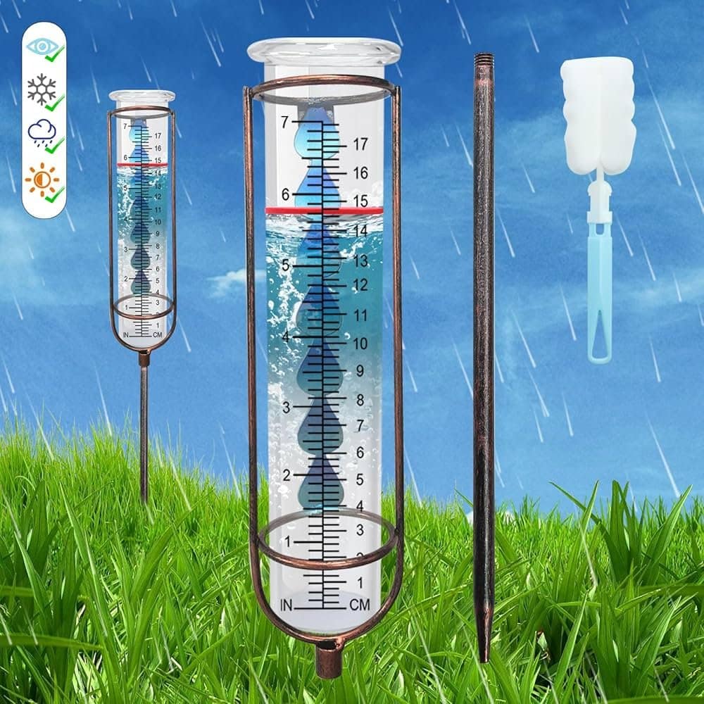 rainy gauge - CurioBuddy rainy gauge