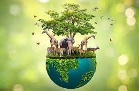wild2 - CurioBuddy Conserve Wildlife for environmental awareness