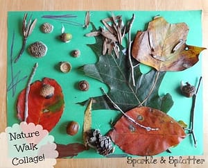 2838349059de352de9092a958019c489 - CurioBuddy Nature Collage