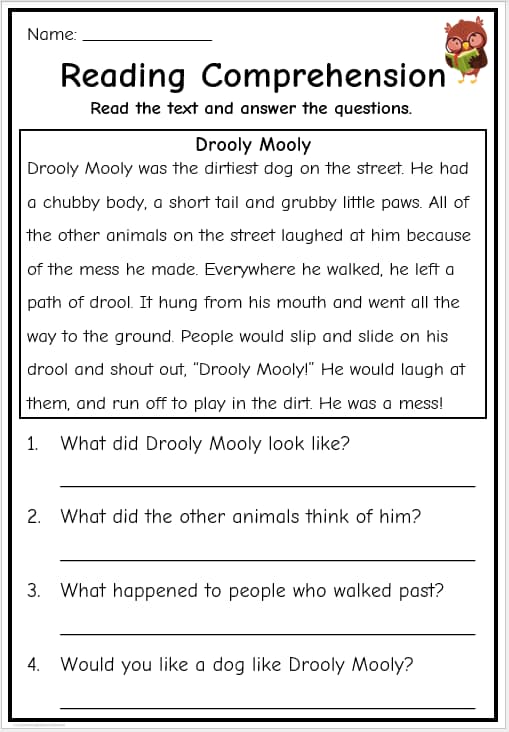 Reading-Comprehension-Grade-1-Drooly-Mooly-Image - CurioBuddy Sample reading Comprehension