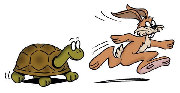 1520164806574 - CurioBuddy Tortoise and the hare