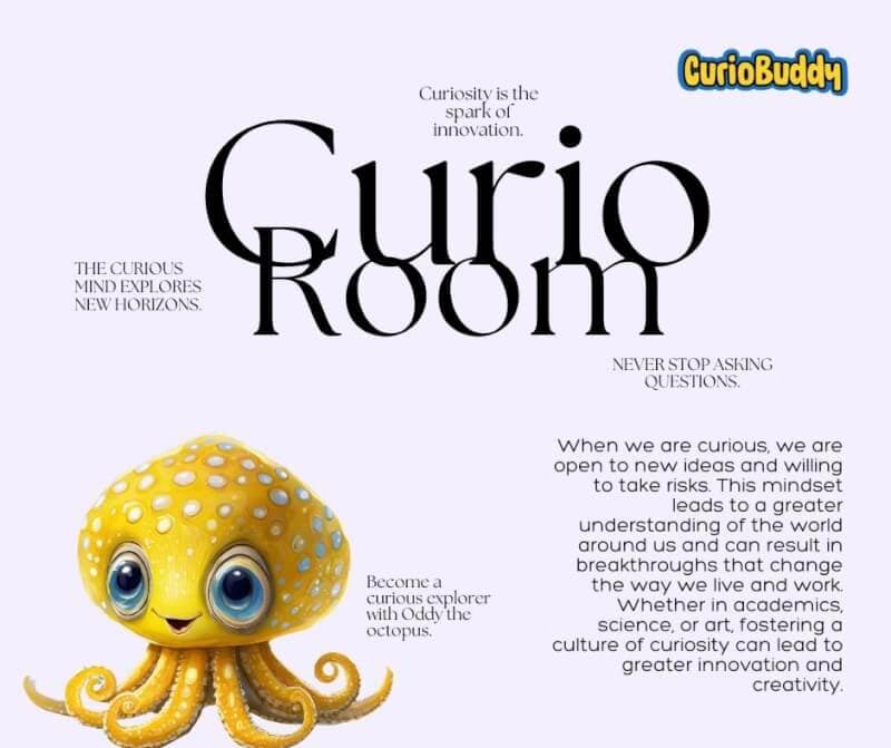 WhatsApp Image 2024-08-08 at 13.41.52_601b2e88 - CurioBuddy Octopus Explaining benefits of curioroom